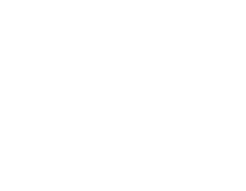 Walk Bear